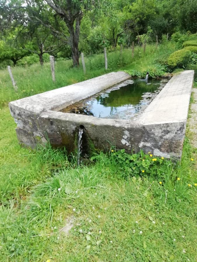 Gite Du Mont De Transet Thauron Eksteriør billede